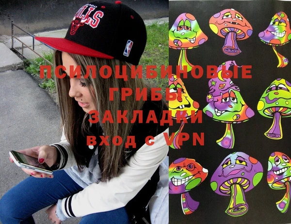 эйфоретик Майский