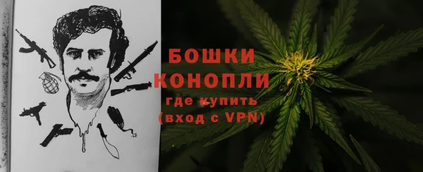 эйфоретик Майский