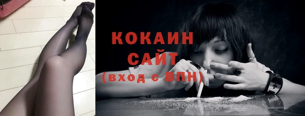 эйфоретик Майский