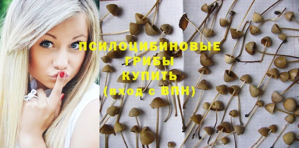 марки nbome Магас