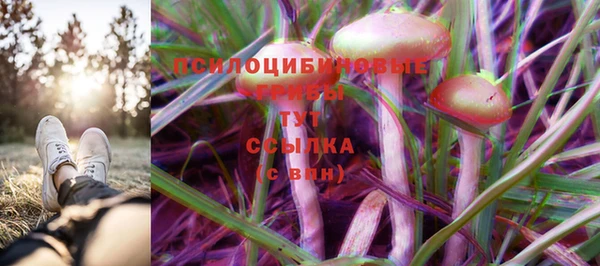 каннабис Магадан