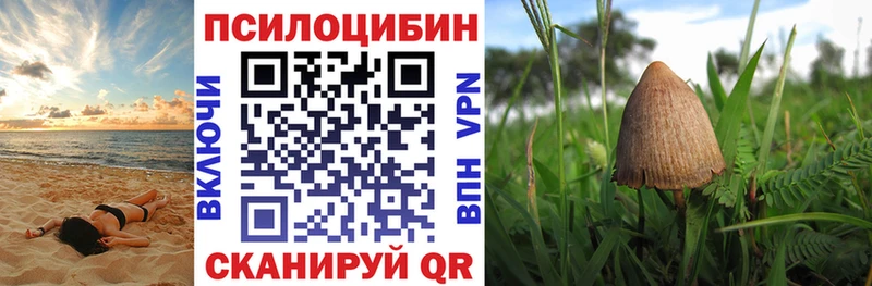 Псилоцибиновые грибы мицелий Яровое